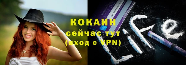 дмт Алзамай