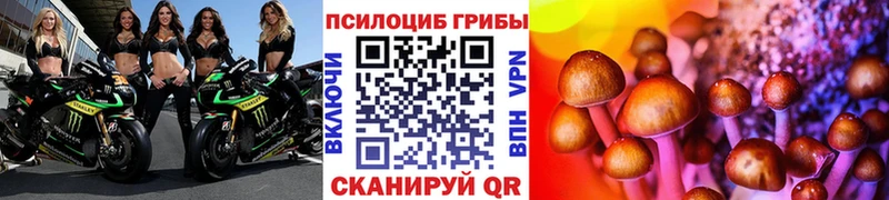 Галлюциногенные грибы Psilocybe  Салават 