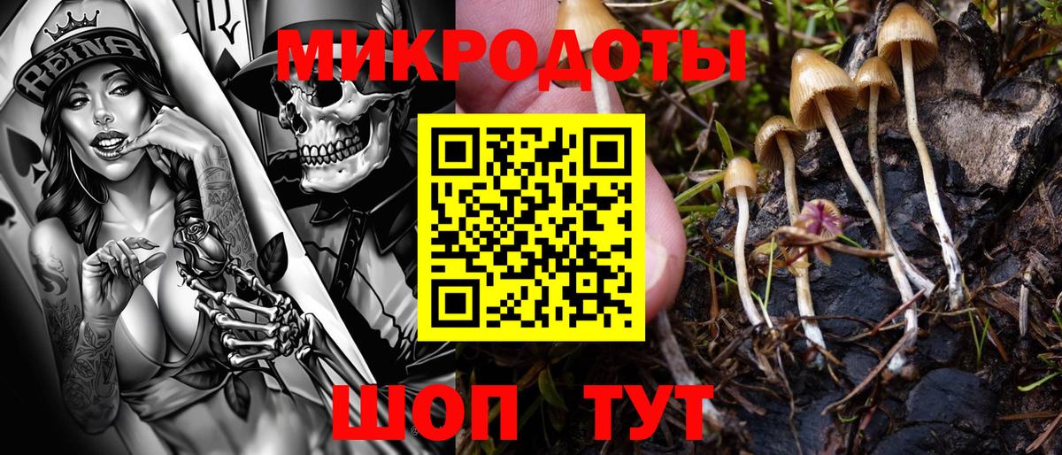 Галлюциногенные грибы прущие грибы Салават